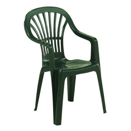 Silla Resina Monoblock...